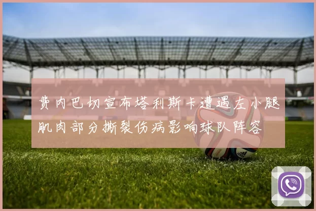 费内巴切宣布塔利斯卡遭遇左小腿肌肉部分撕裂伤病影响球队阵容